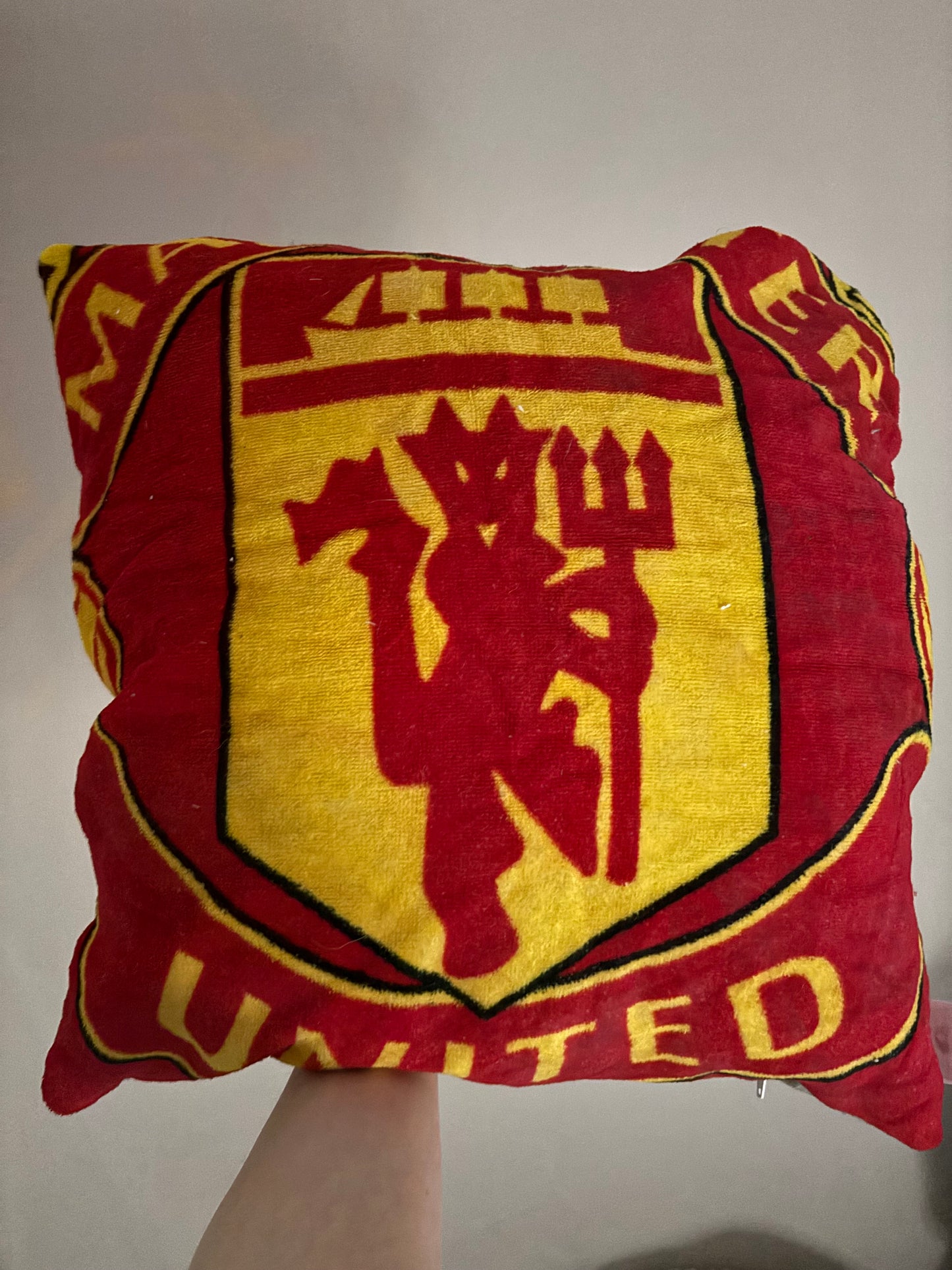 Memory Pillow